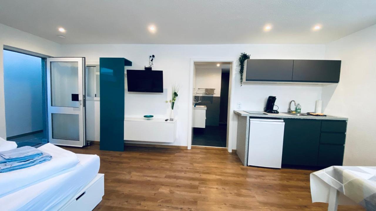 Apartament Haus-No19 Gbr Kippenheim Zewnętrze zdjęcie