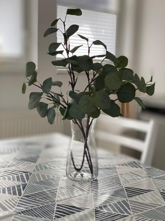 Apartament Haus-No19 Gbr Kippenheim Zewnętrze zdjęcie