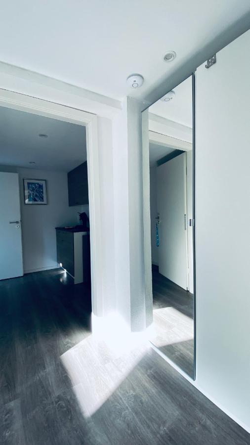 Apartament Haus-No19 Gbr Kippenheim Zewnętrze zdjęcie